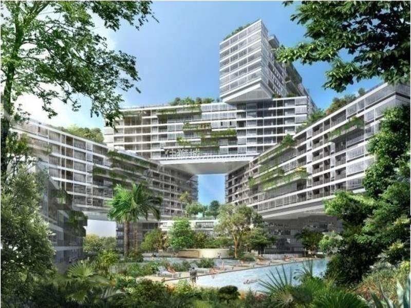 THE INTERLACE 